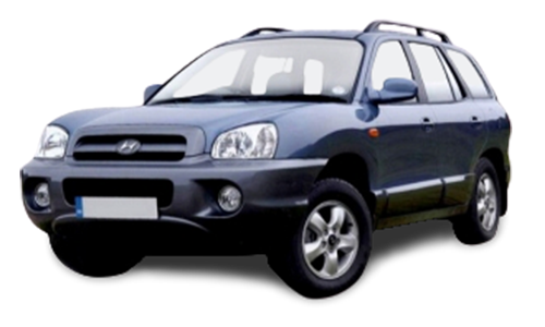 2D коврики EVA в салон на Hyundai Santa Fe I (2000-2006)
